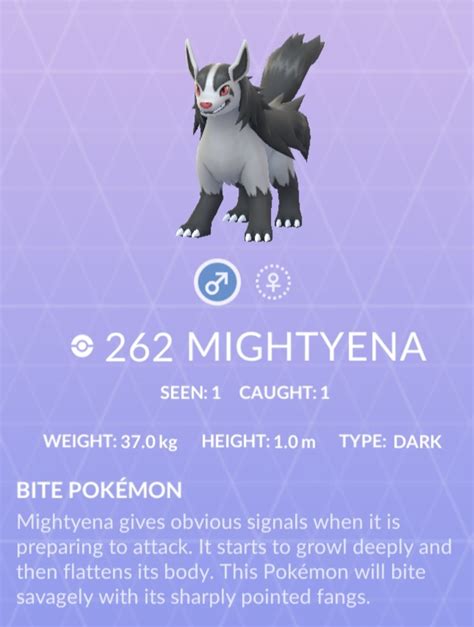mightyena pokemon go|what level does mightyena evolve.